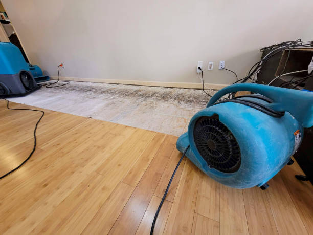 Professional Structural Drying technician working in Watertown, FL
